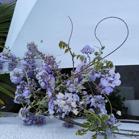 Apartments Poretti For 2,In Center Parking Free In The Yard,6 Min Beach Walk Ровинь Экстерьер фото