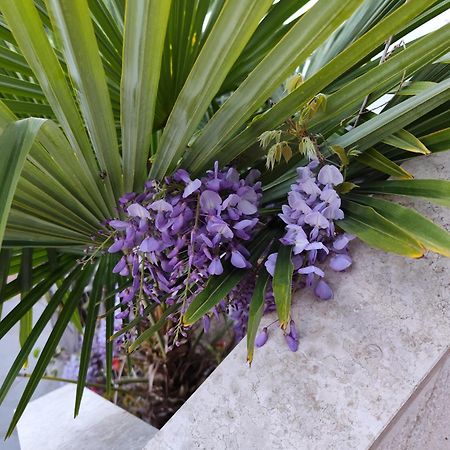 Apartments Poretti For 2,In Center Parking Free In The Yard,6 Min Beach Walk Ровинь Экстерьер фото