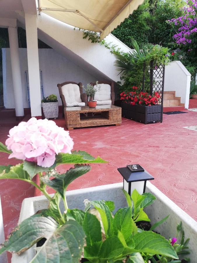 Apartments Poretti For 2,In Center Parking Free In The Yard,6 Min Beach Walk Ровинь Экстерьер фото