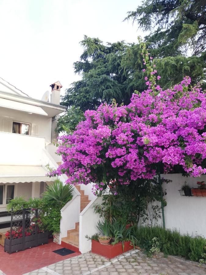 Apartments Poretti For 2,In Center Parking Free In The Yard,6 Min Beach Walk Ровинь Экстерьер фото