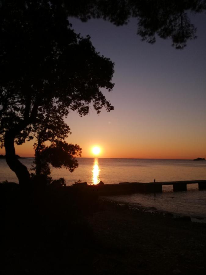 Apartments Poretti For 2,In Center Parking Free In The Yard,6 Min Beach Walk Ровинь Экстерьер фото