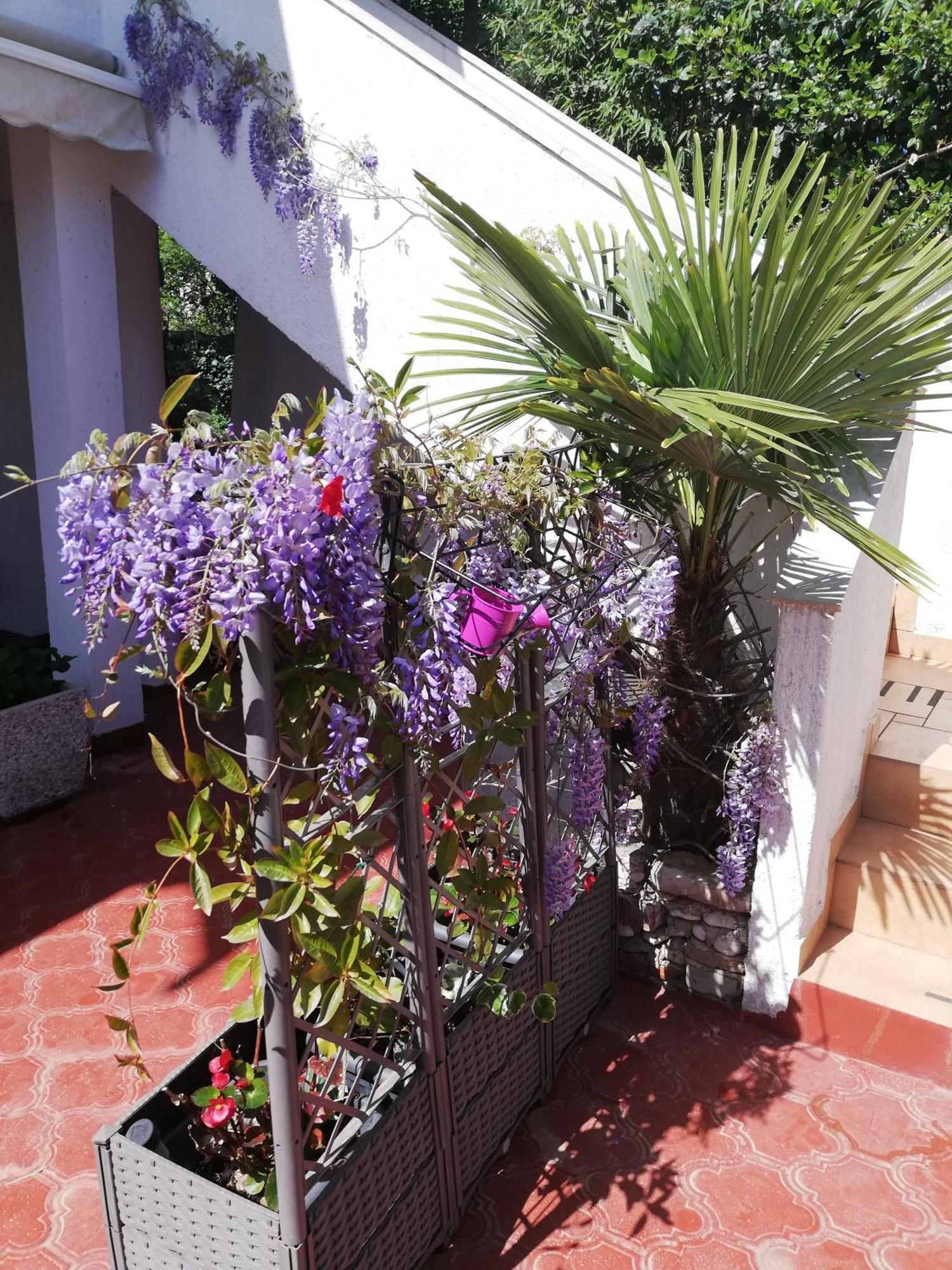 Apartments Poretti For 2,In Center Parking Free In The Yard,6 Min Beach Walk Ровинь Экстерьер фото