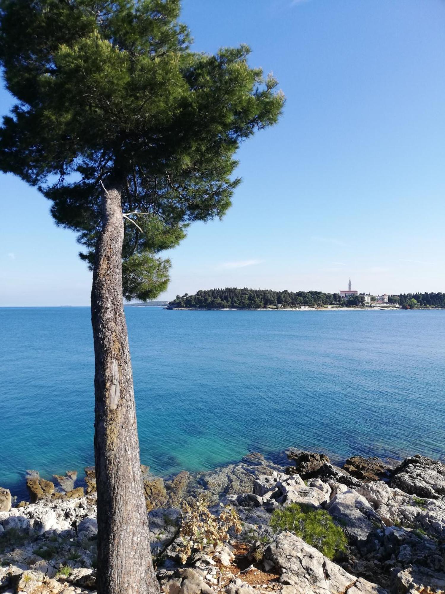 Apartments Poretti For 2,In Center Parking Free In The Yard,6 Min Beach Walk Ровинь Экстерьер фото