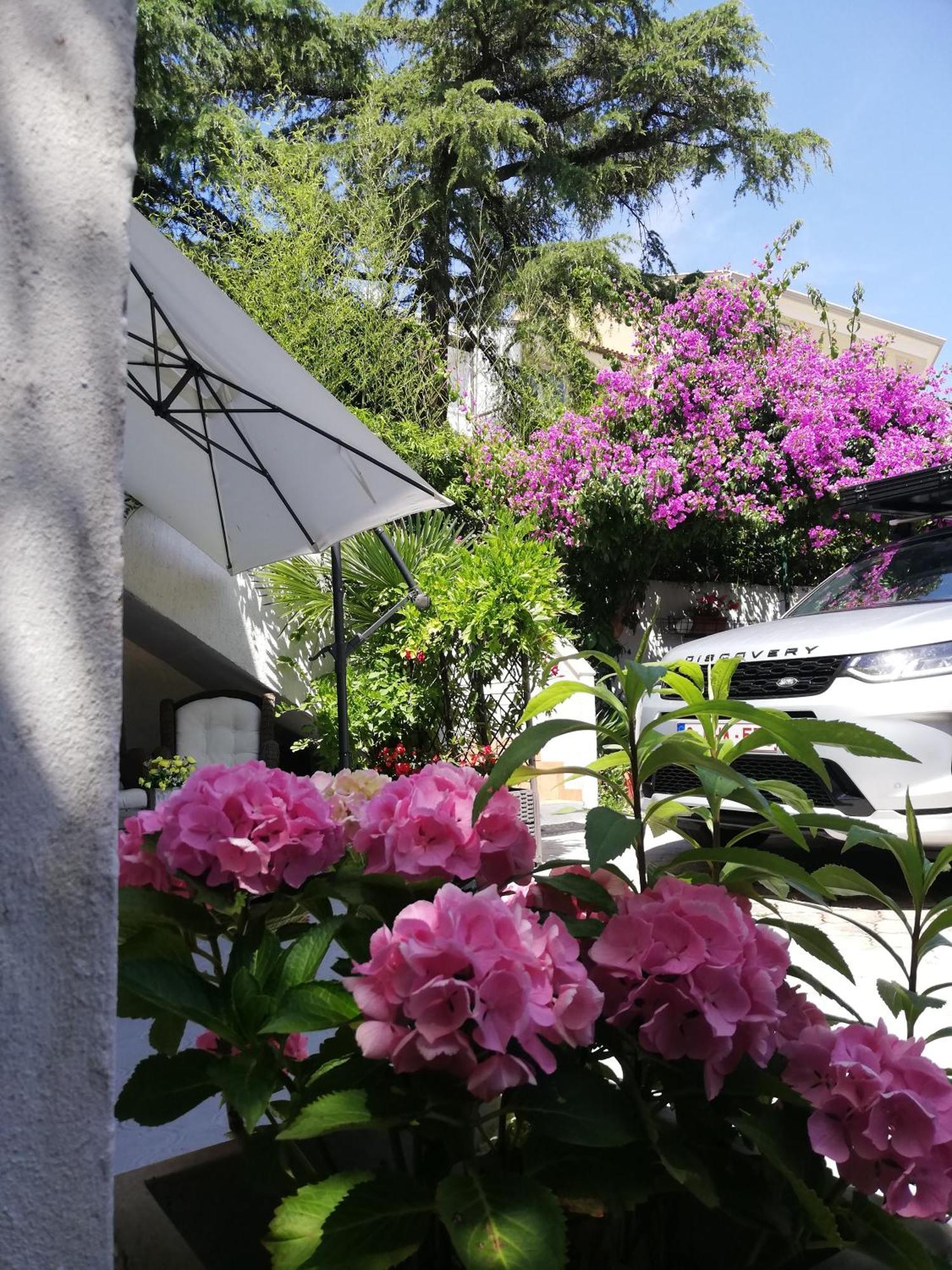 Apartments Poretti For 2,In Center Parking Free In The Yard,6 Min Beach Walk Ровинь Экстерьер фото