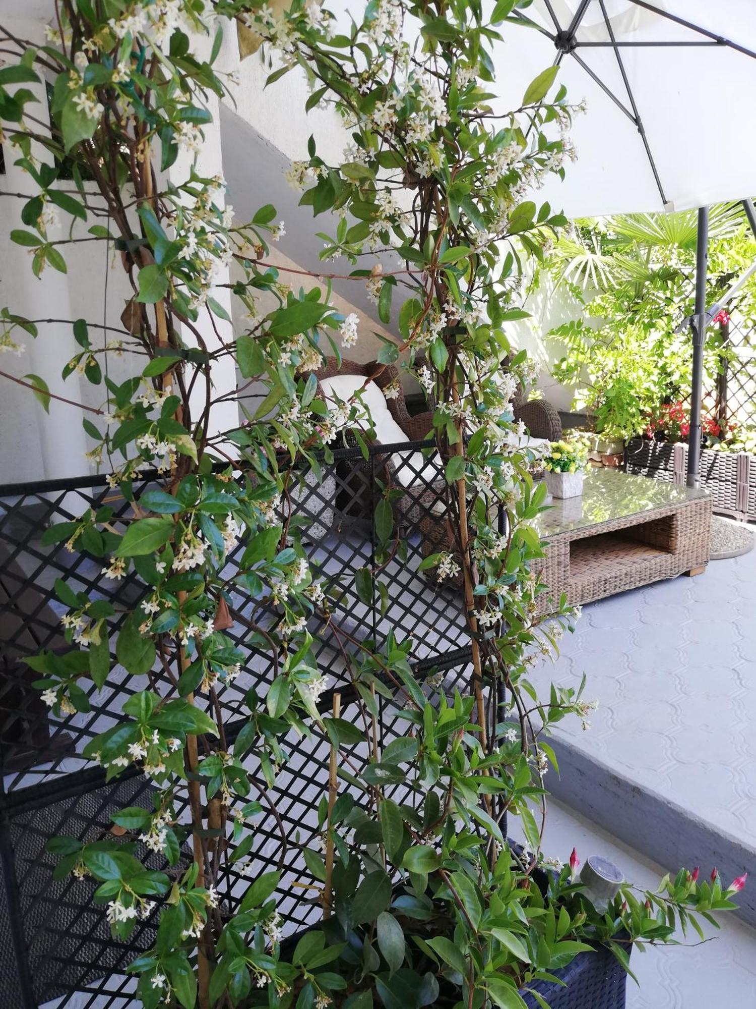 Apartments Poretti For 2,In Center Parking Free In The Yard,6 Min Beach Walk Ровинь Номер фото