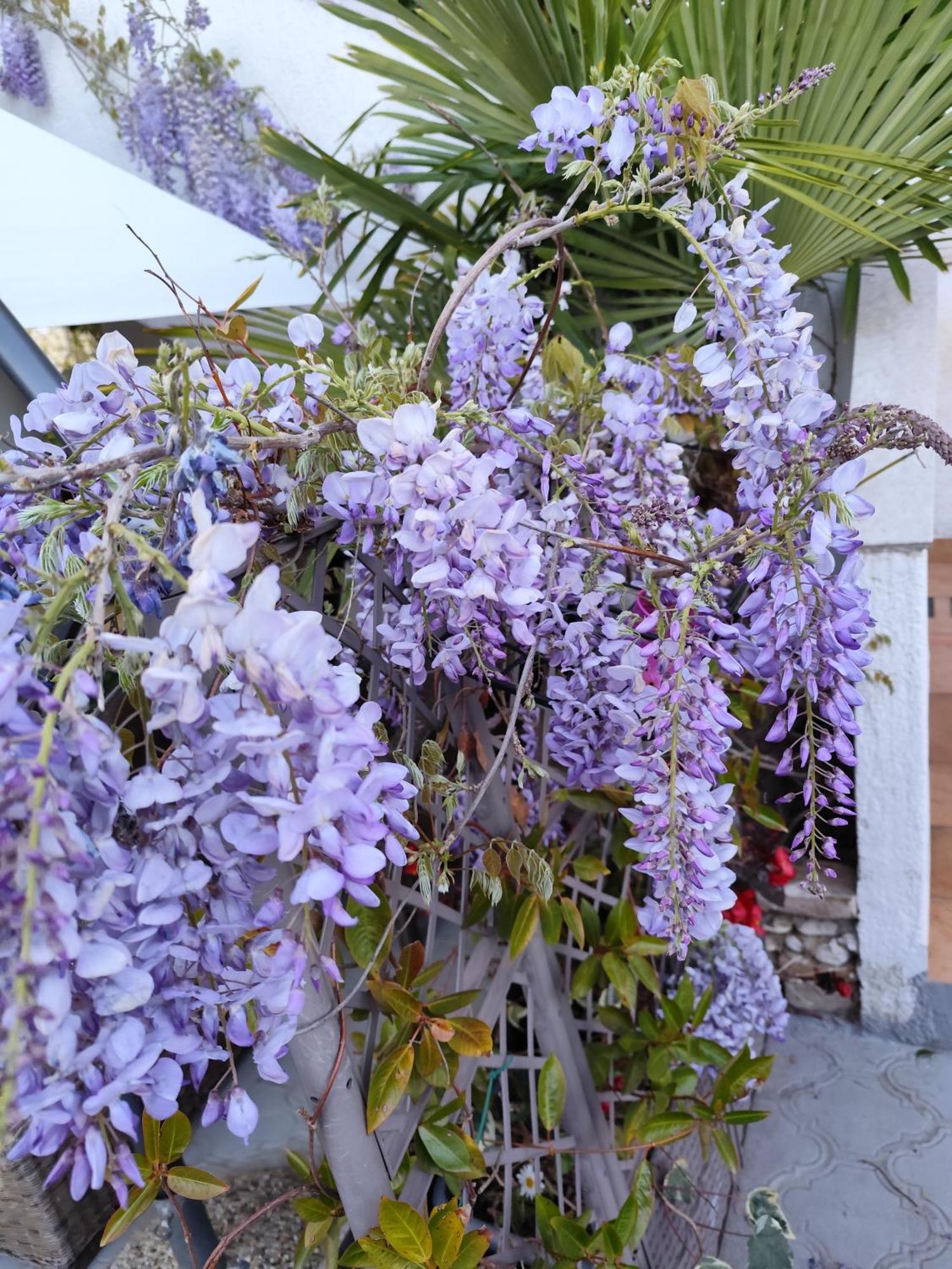 Apartments Poretti For 2,In Center Parking Free In The Yard,6 Min Beach Walk Ровинь Экстерьер фото